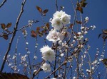061129ride 001.jpg