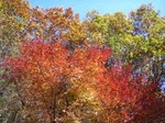 061129ride 004.jpg