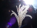 061202ride 003.jpg