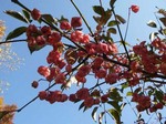 061202ride 005.jpg