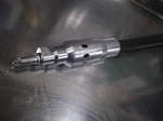 061209fox 001.jpg