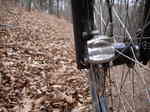 070102ride 007.jpg