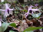 070404ride 018.jpg