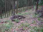 070513hwc 002.jpg