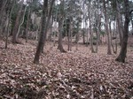 080119hwc3.jpg