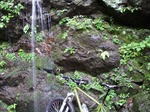 080703ride1.jpg