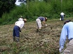 080802hwc1.jpg