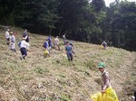 080802hwc2.jpg