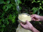 080820hc2.jpg