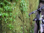 080904ride2.jpg