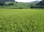 080907ride1.jpg