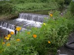 080907ride2.jpg