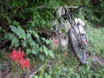 080913car1.jpg
