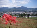 080929hana2.jpg
