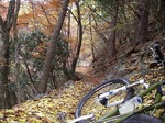 081113ride2.jpg