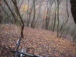 081126ride1.jpg