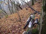 081126ride3.jpg