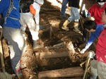 081206hwc3.jpg