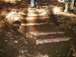 081206hwc4.jpg