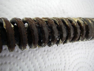 090703sp.jpg
