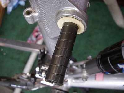 090801trnr.jpg