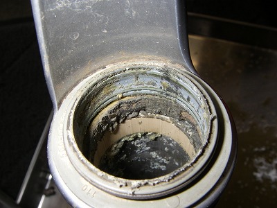 090825sus1.jpg