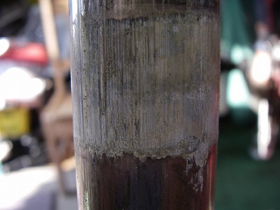 090825sus2.jpg