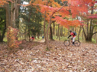 091129ride1.jpg
