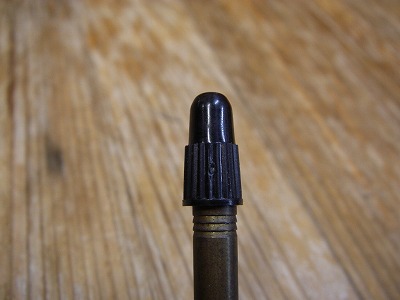 100112cap.jpg