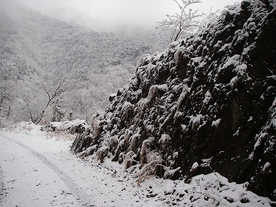 100216yuki.jpg
