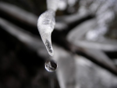 100219ice3.jpg