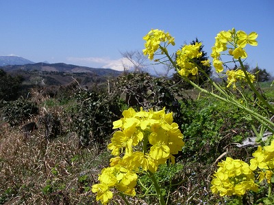 100311sp4.jpg