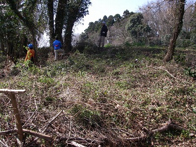 100314kusa4.jpg