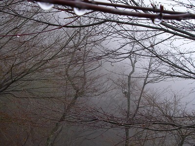 100417ride2.jpg