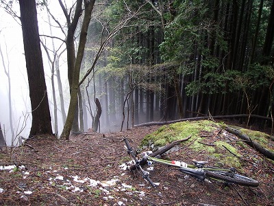 100417ride3.jpg