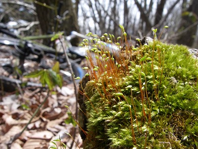 100421ride4.jpg