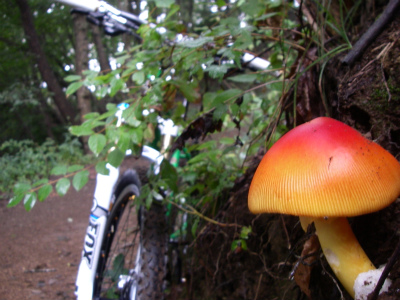 101001ride2.jpg