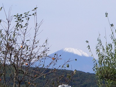 101104fuji.jpg