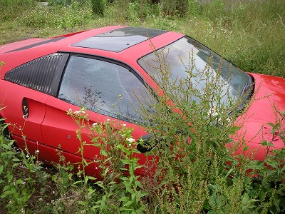 106008frl2.jpg