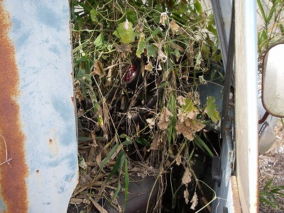 111129car2.jpg